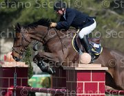 Le Jeune Vikali TosTour2013- S5 2320 : Arezzo, Arezzo Equestrian Centre, Le Jeune Philippe, Toscana Tour 2013, Vikali de l'Heribus, foto di Stefano Secchi ©